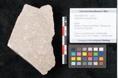 Foto (Objekt + Etikett) von Dictyopteris brongniarti Gutb. (NHMW-GEO-2024-0188-10767)